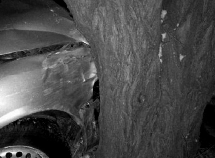 В  Безуглівці водій  «ВАЗу" здійснив зіткнення з придорожнім деревом